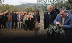 Efes Tarlası Yaşam Köyü'nde çiftçilere zeytin budama eğitimi