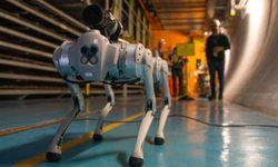 CERN'deki zorlu koşullara uyum sağlayacak robot köpek