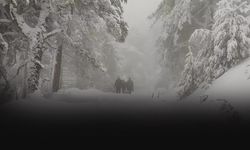 Kar ve sis nedeni ile ormanda mahsur kalan 3 işçi kurtarıldı