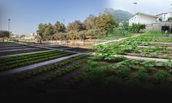 Karşıyaka’da kentsel tarım güçleniyor