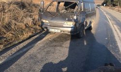 Minibüs geyiğe çarptı... Garip kazada 2 kişi yaralandı!