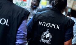 Interpol kırmızı bültenle arıyordu: 'Kedi' yakalandı