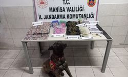 Manisa'da uyuşturucu operasyonunda 2 kişi tutuklandı