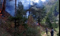 Gediz’de orman yangınında 2 hektar alan küle döndü
