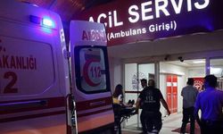 Feci kaza: Doktor hayatını kaybetti, 6 kişi yaralandı
