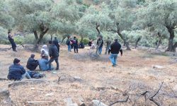 Nazilli'de bir kişi arazide ölü bulundu