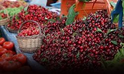 Buca’da Kiraz Festivali heyecanı... Geri sayım başladı!