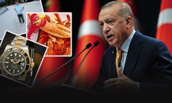 Istakoz, Maldivler ve Rolex... Erdoğan'dan vekillerin 'lüks' paylaşımlarına tepki