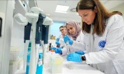 Yumurtalık kanseri tedavisinde yeni ilaç modeli geliştirildi