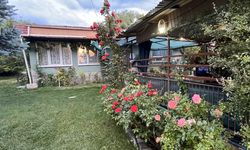 18 yıldır evinin bahçesinde yetiştiriyor... Tam bir çiçek tutkunu!