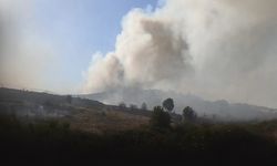 İzmir'de korkutan yangın... Makilik alan alev aldı!