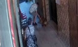 Sevmek istediği sahipsiz köpek elini ısırdı... Soluğu hastanede aldı!