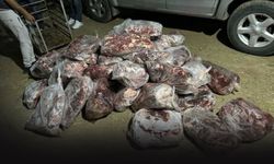 Jandarmadan 'haram' operasyonu... 1 ton domuz eti ele geçirildi