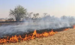 Anız yangınları ormanlar için de büyük tehdit