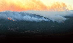 İzmir İtfaiyesi'nden bir günde 90 vakaya müdahale!