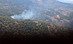 İzmir'de korkutan orman yangını... 3 saatte kontrol altına alındı!