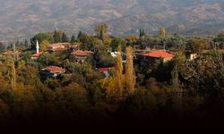 İzmir-Aydın sınırına yeni altın madeni... Siyanür tehdidi!