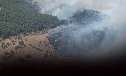 İzmir'de korkutan orman yangını... Sabuncubeli tüneli trafiğe kapatıldı!
