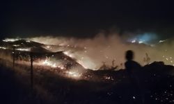 Manisa'da makilik alanda yangın kontrol altına alındı!