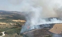 Manisa'da korkutan orman yangını... Havadan karadan müdahale