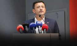 AK Partili Dağ'dan CHP'ye Paris çıkışı: Akıllarına İzmir'i davet etmek gelmemiş!