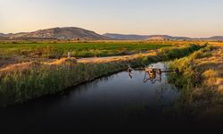 İzmir'de sivrisinekler ile mücadeleye devam ediyor... Dron ile havadan müdahale