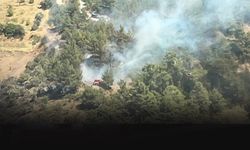 Kemalpaşa'da orman yangını! Havadan ve karada müdahale ediliyor