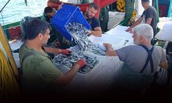 Av yasağı bitti... Foça'da ağlardan hamsi ve sardalya çıktı
