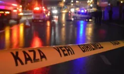 Aydın'da otomobil ve kamyonetin çarpıştığı kazada 1'i ağır 4 kişi yaralandı