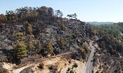 Muğla'da çıkan orman yangınına müdahale sürüyor