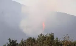 Denizli'de orman yangını 5'inci gününde