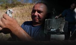 Yangında evini kaybetti... Çocukluk sevdası güvercinden vazgeçmedi