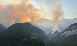 Denizli'deki orman yangını büyük ölçüde kontrol altına alındı