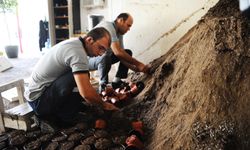 Karşıyaka Belediyesi’nin serasında binlerce çiçek yetişiyor