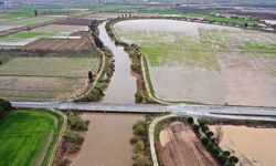 Yağışlar arttı... Menderes Nehri yeniden canlandı!