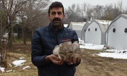 Siparişlere yetişemiyor, Kasa kasa satıyor