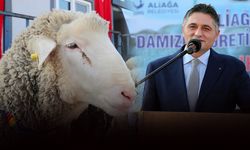 Aliağa Belediyesi’nden üreticilere koç desteği