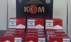 Aydın'da kaçakçılık operasyonunda 2 kişi yakalandı