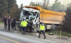 Bodrum'da 2 hafriyat kamyonu çarpıştı; 1 şoför ağır yaralı