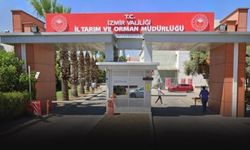 Tarım ve Orman Müdürü Şahin'den İzmir raporu... "Ülke ihtiyacının yüzde 34'ünü karşıladı"