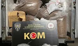 Muğla'da kaçak tütün ve makaron operasyonu: 1 tutuklama