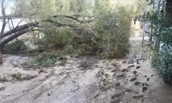 Datça'da sağanak günlük yaşamı olumsuz etkiledi