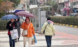 Manisa'da kar yağışı etkili oldu