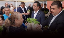 Seferihisar’da 13. Yerel Tohum Takas Şenliği coşkuyla gerçekleşti... 500 bin fide dağıtıldı