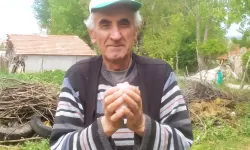 Emekli işçi, yolda bulduğu paraları jandarmaya teslim etti