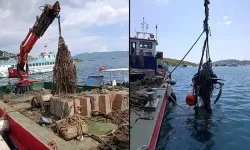 Bodrum'da deniz dibinden 130 ton katı atık çıktı
