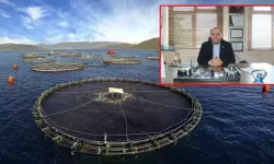Prof. Dr. Dinçer: Kültür balıkları en güvenilir gıdalar arasında