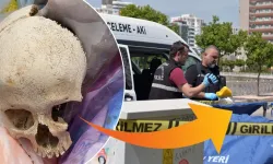Sitenin çöpünden çıkan kafatasının sırrı çözüldü!