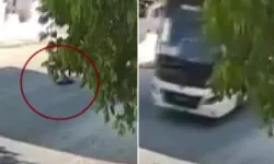 Dehşet anları kamerada: Yolda yatan köpeği göz göre ezdi
