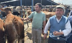 Afyonkarahisar'da hayvan pazarında hareketlilik yaşanıyor